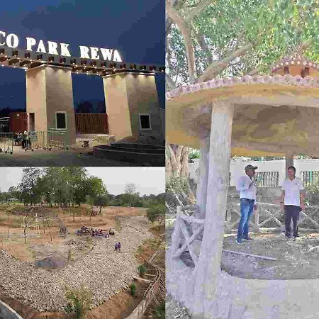 Hotel Eco Park Rewa Dış mekan fotoğraf