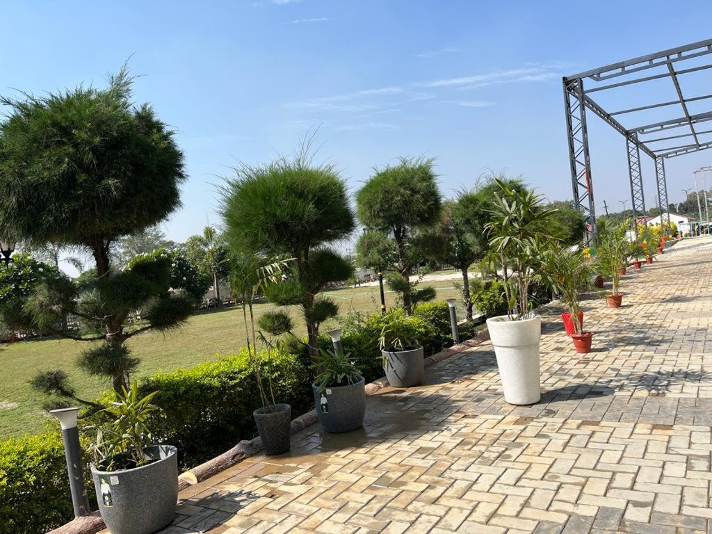 Hotel Eco Park Rewa Dış mekan fotoğraf