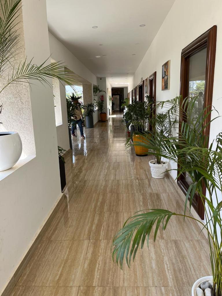 Hotel Eco Park Rewa Dış mekan fotoğraf